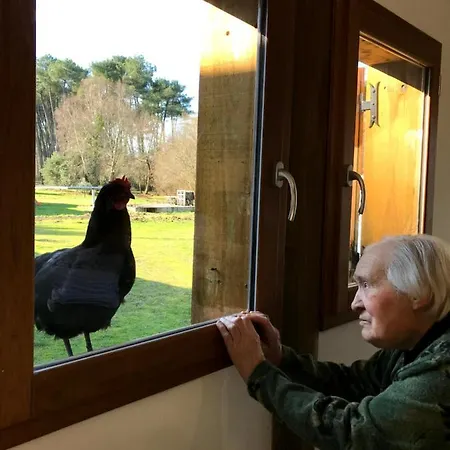 La Fourniere De Jean - La Teouleyre Saint-Julien-en-Born
